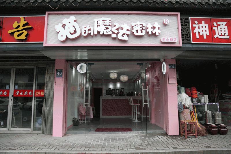 貓的魔法密林加盟門(mén)店